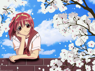 Cherry blossom girl brick wall - anime art free wallpaper