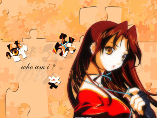 Girl longhair redshirt holding puzzle - analytical free wallpaper