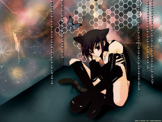 Sitting cat butterfly star galaxy - above them free wallpaper