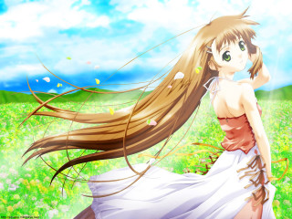 Girl dress flower field wind - the wind free wallpaper