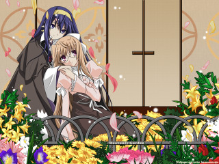 Garden flowers anime characters bench - a detailed drawing free wallpaper