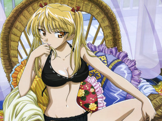 Woman bikini bed basket flowers - a basket of flowers free wallpaper