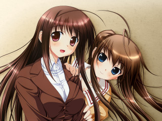 Anime girls long hair brown 2 - a picture together free wallpaper