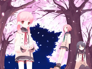 Anime girls cherry blossoms sakura - a hand free wallpaper