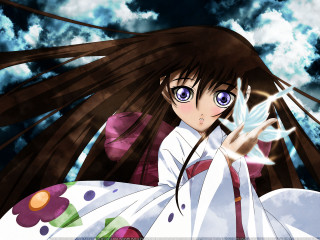 Anime girl long hair flower 5 - anime visual free wallpaper