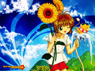 Girl sunflower blue sky cat - back free wallpaper
