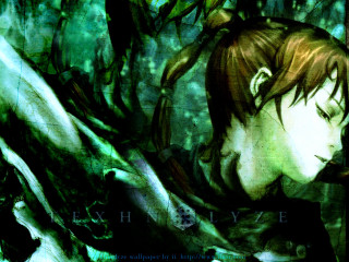 Bearded man green shirt woods - a green shirt free wallpaper