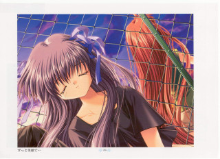 Girl ponytail fence bird night - a fence free wallpaper