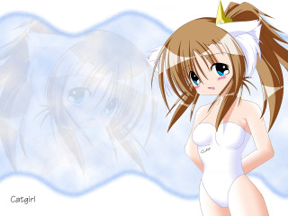 Cartoon girl white dress crown - her head free wallpaper