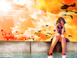 Woman sitting ledge bird sunset - a ledge in front free wallpaper
