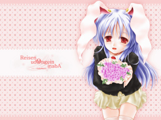 Blue haired girl flower cat - blue hair holding free wallpaper