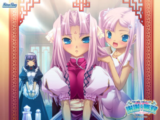 Anime girls mirror maid twins - a mirror free wallpaper