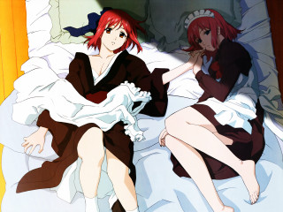 Twins anime girls white cat - their lap free wallpaper