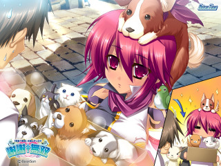 Pink haired girl stuffed animals - stuffed free wallpaper