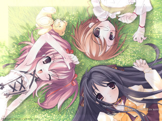 Three anime girls grass outdoors - closed free wallpaper