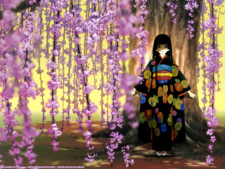 Kimono woman tree purple flower - a yellow sky free wallpaper