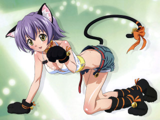 Catgirl gun furry anime yelloweyes - a black object free wallpaper