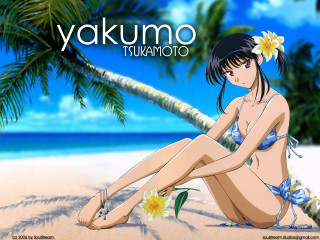 Beach woman flower bikini palm - a blue bikini free wallpaper