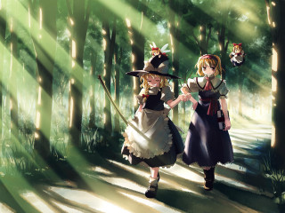 Forest women costumes cat broom - a broom free wallpaper