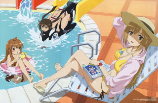 Poolside summer girls cat dog - her back free wallpaper
