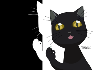 Black cat yellow eyes vanitas 2 - yellow eye free wallpaper