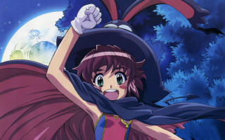 Witch hat bat fullmoon magic - full free wallpaper