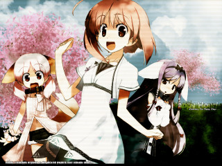 Three anime girls cherry blossoms 2 - official free wallpaper for desktop