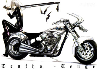 Woman motorcycle birds gothic manga - above her free wallpaper