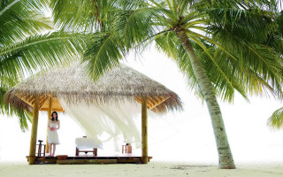 Woman bed palm tree beach - a platform free wallpaper