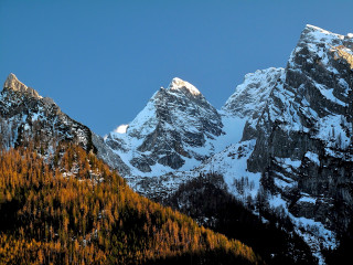 Snowy mountain range trees foreground - coppo di marcovaldo free wallpaper