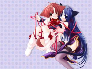 Anime girls cat ears blue - long hair and a cat ears free wallpaper