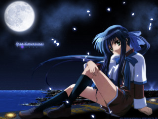 Girl moon cherry blossoms anime - visual free wallpaper