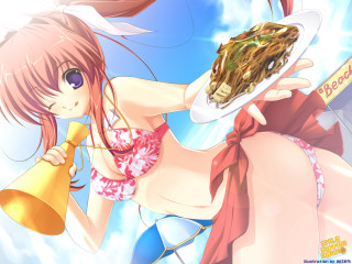 Woman bikini food tray sotsart - a woman in a bikini holding free wallpaper