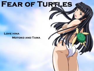 Fear of turtles woman bikini - sots art free wallpaper