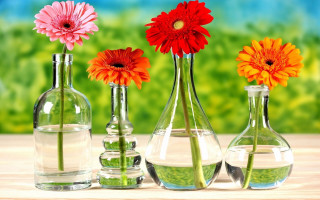 Three vases flowers table water 2 - constant permeke free wallpaper