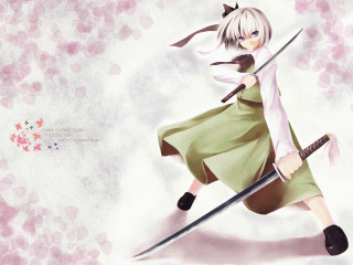 Woman cat sword dress boot - her hand and a cat free wallpaper