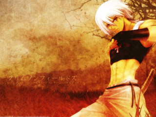 White hair man field sunset - white hair free wallpaper for desktop