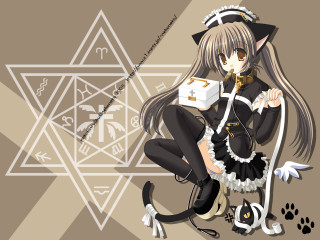 Anime girl long hair cat 7 - a box free wallpaper