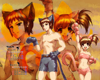 Anime cat girls bikini furry - their chest free wallpaper