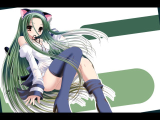 Green hair cat ears anime - her leg free wallpaper