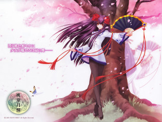 Woman fan pink tree magical - a woman holding free wallpaper