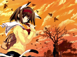 Girl backpack cat sunset birds 2 - a sunset free wallpaper