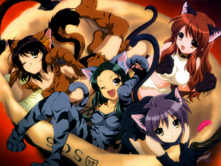 Anime girls banana cats animal - cat free wallpaper