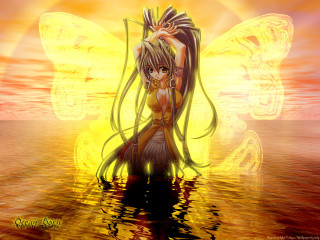 Fairy butterfly wings water sunset - a yellow butterfly free wallpaper