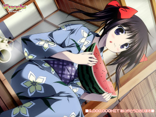 Woman kimono watermelon flower vase - a watermelon free wallpaper