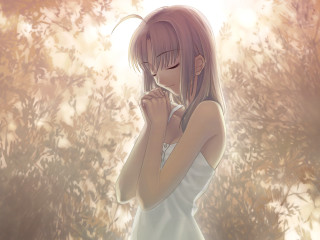 Girl white dress bush autumn - ufotable free wallpaper