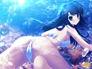 Woman bikini swimming bubbles hair - the wind free wallpaper