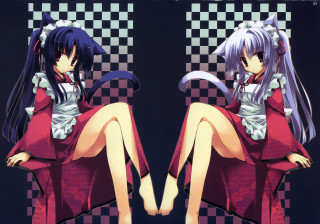 Girl crossed legs checkered background - background free wallpaper