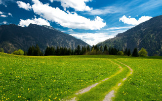 Dirt road green field mountains 5 - edi rama free wallpaper
