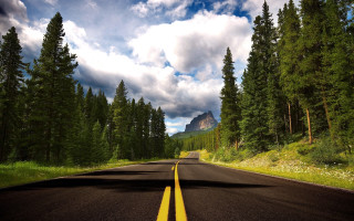 Mountain road trees sky lake - a yellow line free wallpaper